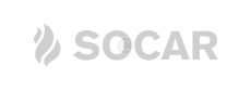 Partner 9 Copyright